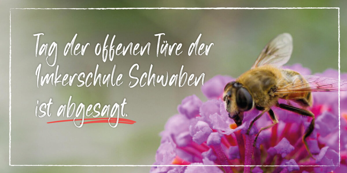 Tag der Imkerei am 6. Juli ist abgesagt
