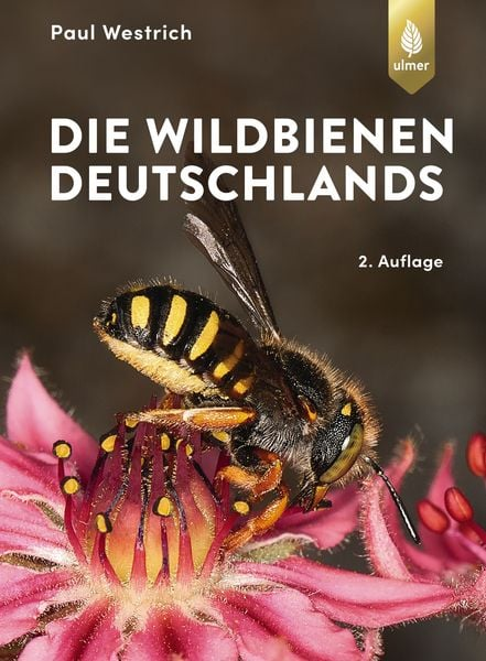 Buch-Cover