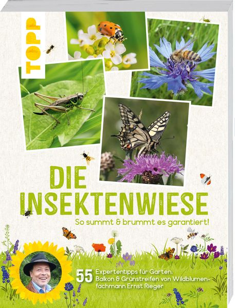 Buch-Cover